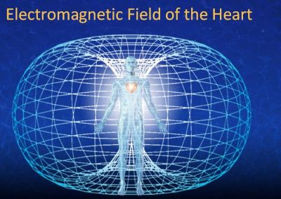 electromagnetic-field-of-the-heart1