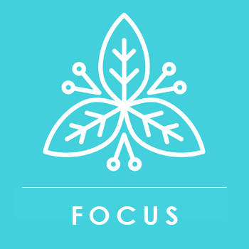 Focus Prosperity Thoughts