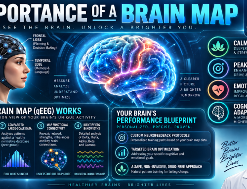 The Importance of a Brain Map